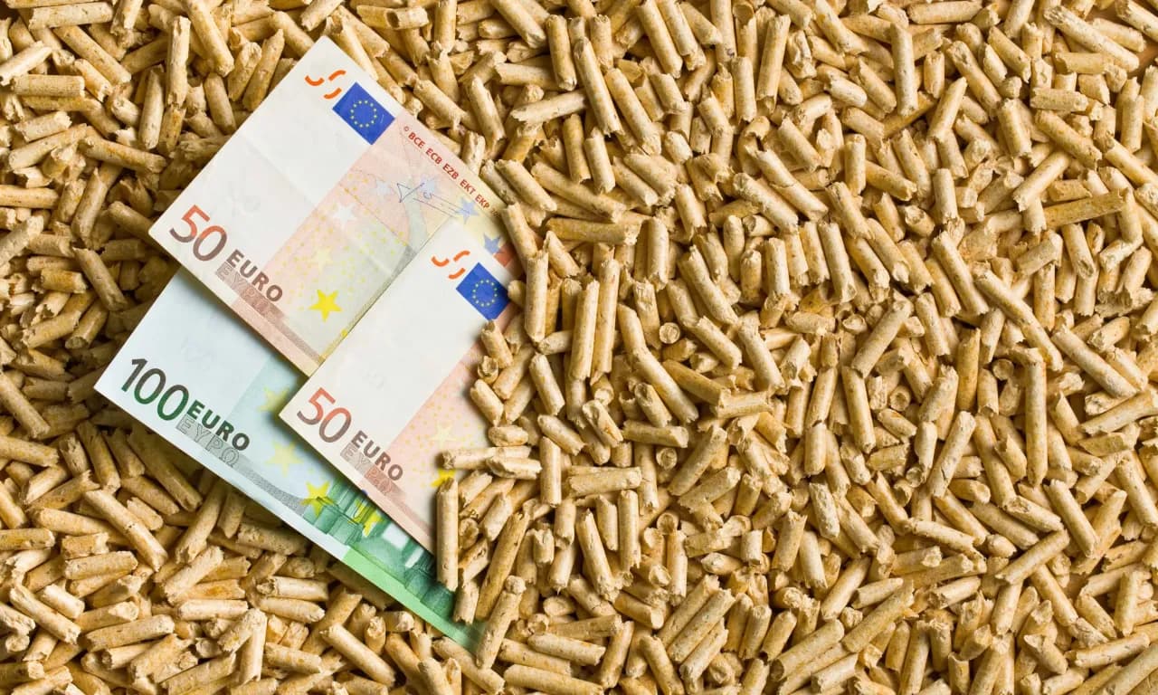 Ceny pelletu drzewnego: Dlaczego warto znać aktualne koszty i wybór