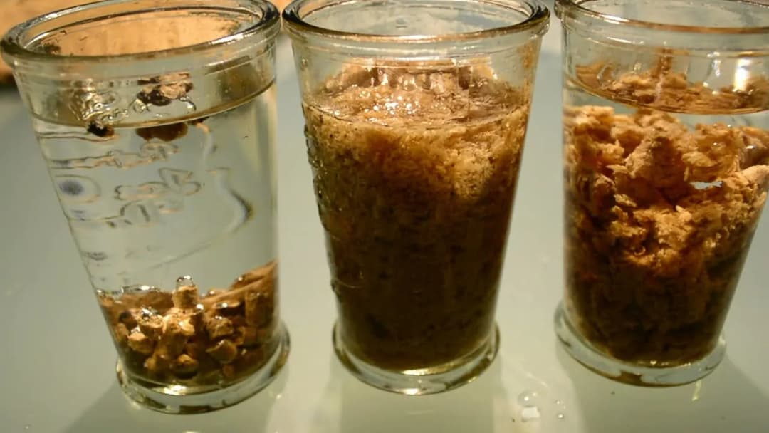 Jak sprawdzić jakość pelletu i uniknąć kosztownych błędów w wyborze