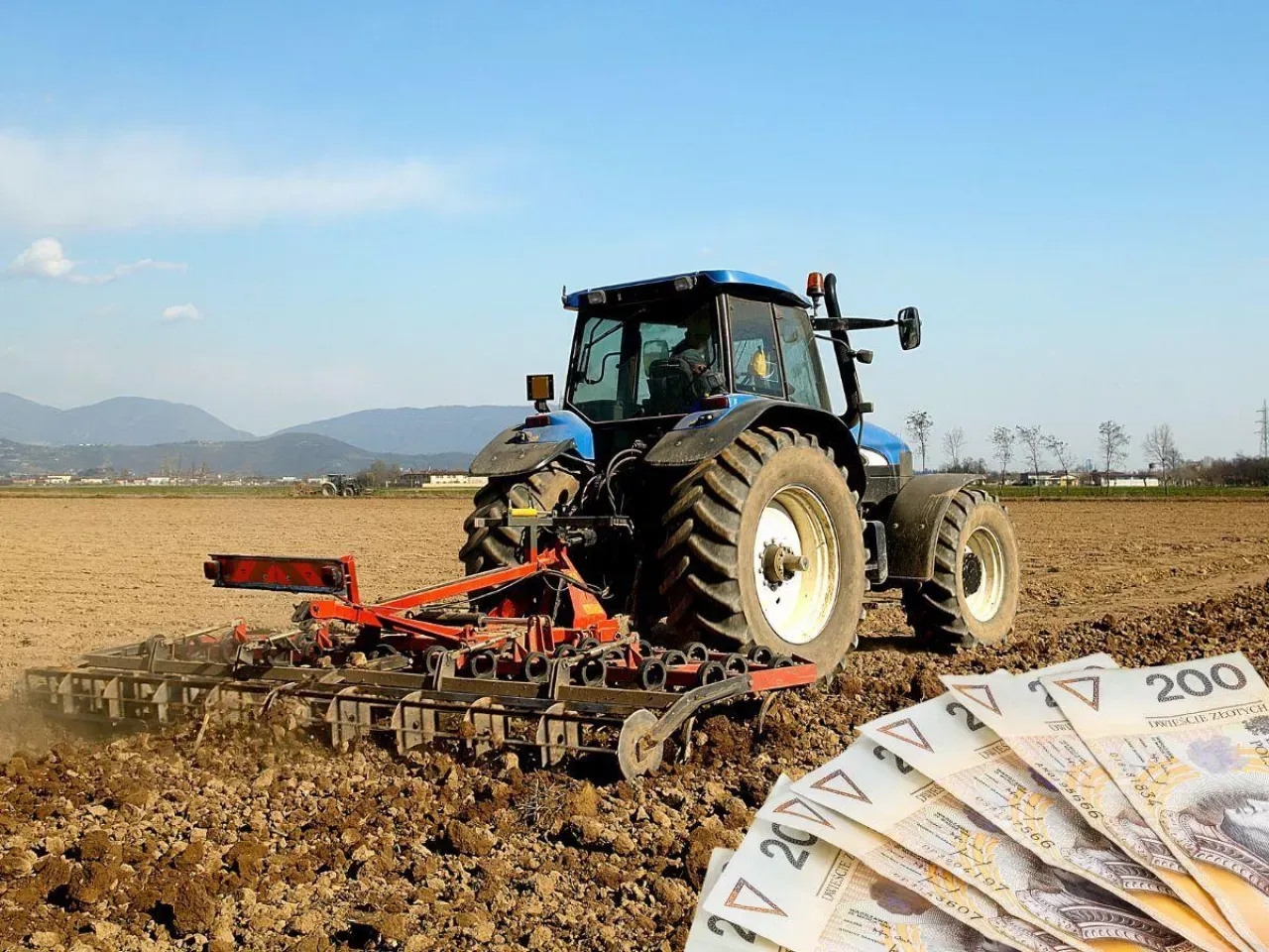 Stawki dzierżawy gruntu rolnego Ile kosztuje hektar ziemi