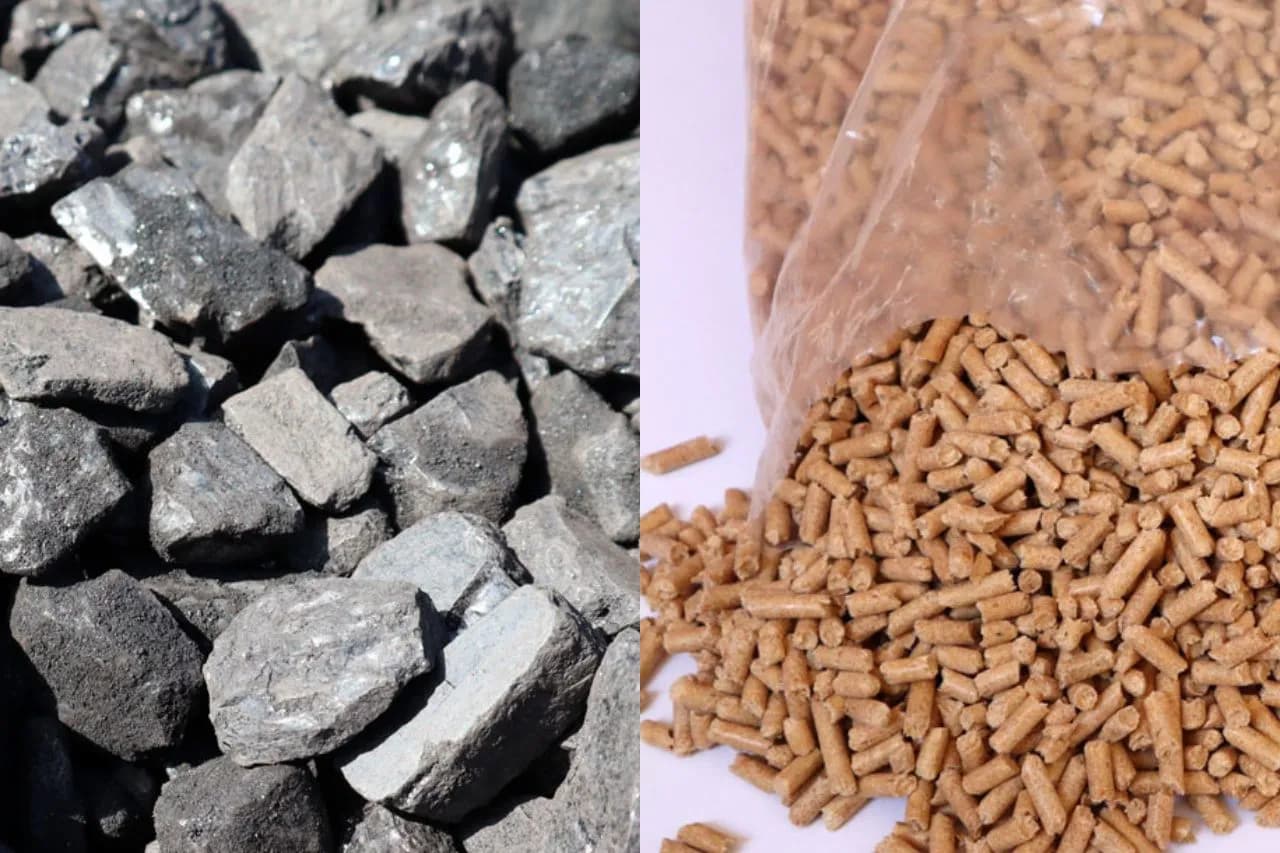 Pellet czy ekogroszek - które paliwo jest lepsze do ogrzewania Twojego domu?