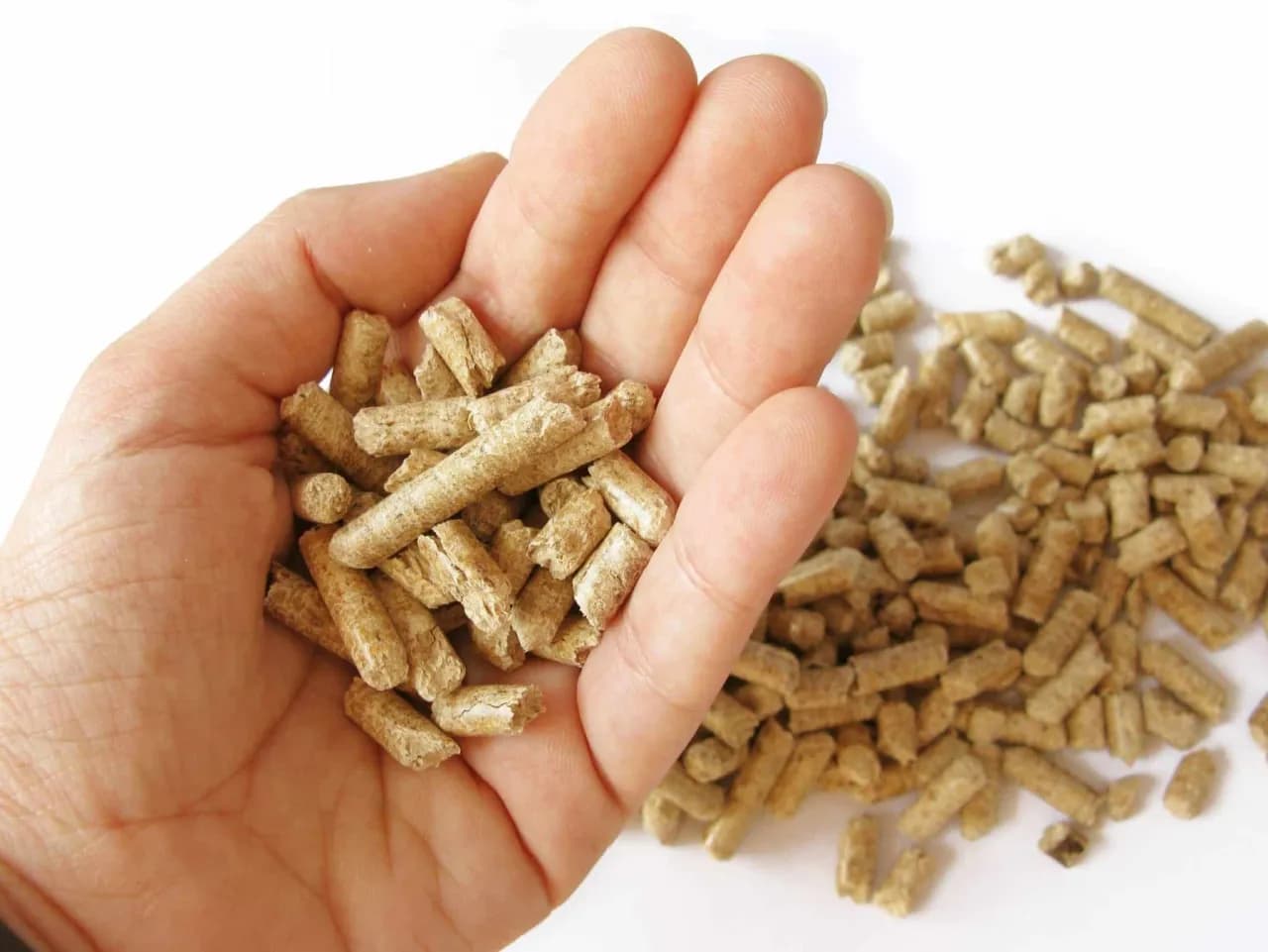 Jaki pellet polecacie na forum? Oto opinie i recenzje użytkowników