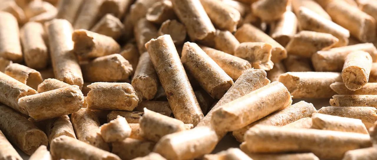 Ceny pelletu w Niemczech spadają: ile naprawdę zapłacisz za tonę?