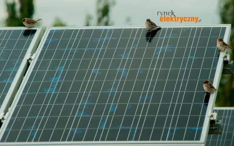 Fotowoltaika na pustyni Atacama: jak Chile wykorzystuje rekordowe nasłonecznienie